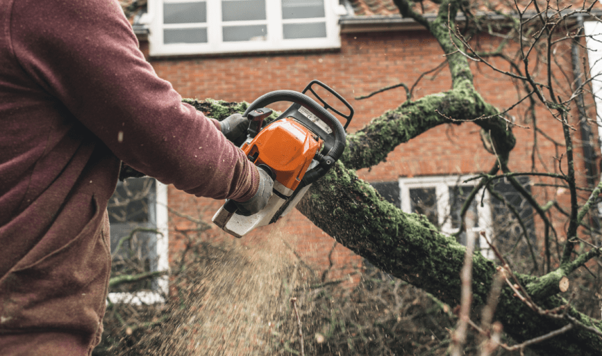 Johnson Landscape Detailed Services